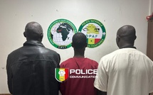 Sénégal : la DNLT démantèle un réseau impliqué dans une escroquerie au visa et du faux monnayage