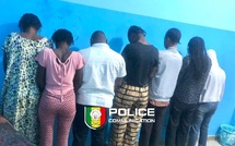 Escroquerie à Thiès : Sept recruteurs de QNET arrêtés par la police à Nguinth pour association de malfaiteurs