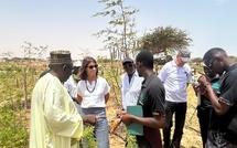 Entrepreneuriat et Innovation Agricole : l’Ambassade des Pays-Bas au cœur des solutions durables à Louga et Lompoul