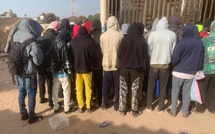 Lutte contre l'émigration clandestine : L'immigration gambienne intercepte un groupe de 88 migrants d'Afrique de l'Ouest à Old Yundum