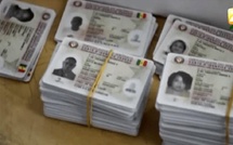 Élections &amp; Citoyenneté : Processus électoral au Sénégal : La DGE annonce la disponibilité des cartes d’électeur de la révision 2025