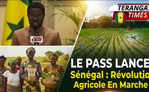 Lancement du PASS au Sénégal : L'État mobilise 150 milliards FCFA pour transformer l'agriculture