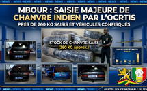 Mbour: L'OCRTIS frappe fort avec la saisie de 260 kg de chanvre indien