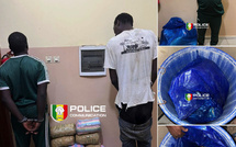 Kaolack : Infiltration, perquisition et coup de filet majeur de la BRS avec 15 kg de chanvre indien saisis