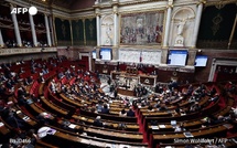 France: L'Assemblée adopte la présomption de conformité pour les tirs de police, la gauche dénonce un « permis de tuer »