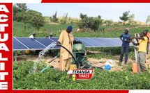 Transition énergétique : L'ANER prévoit 13 milliards de FCFA d’économies annuelles grâce au pompage solaire rural