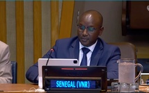 HLPF 2026: le Sénégal réaffirme son leadership sur l'eau et le développement durable à l'ONU