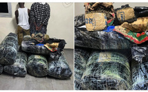Thiaroye-sur-Mer: Plus de 300 kg de chanvre indien saisis, deux trafiquants interpellés par la Gendarmerie