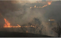 Espagne: Plus de 40 000 personnes touchées par des incendies hors de contrôle menaçant de fusionner près de Madrid