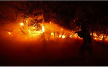 France: Plus de 60 000 évacués et appel aux renforts européens face aux violents incendies dans le Sud-Ouest