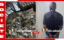 Kédougou: Vaste coup de filet de la BRS, plus de 2 000 comprimés de Tramadol et du Kush saisis à Bambaranding
