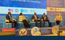 EXCELLENCE SÉNÉGALAISE: Sept anciens boursiers du Mandela Washington Fellowship brillent au Kenya !