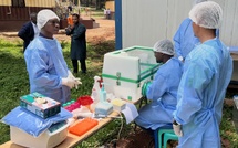 Épidémies : L'Institut Pasteur de Dakar en mission d'urgence contre Ebola en République centrafricaine