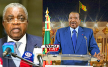 René Sadi, ministre de la Communication du Cameroun : « Le président est en vie... Il n'y a aucune vacance du pouvoir ! »