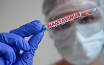Hantavirus: un touriste ayant transité en France testé positif, aujourd'hui isolé en Espagne