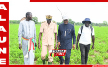 Tournée agricole 2026: Le ministre Dr Cheikhou Oumar Ba évalue la campagne dans la région de Sédhiou