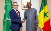 Coopération humanitaire: le Ministre Cheikh Niang reçoit le Vice-Président du CICR à Dakar