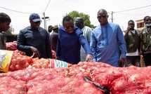 Gamou 2026 : Serigne Guèye Diop inspecte le marché de Tivaouane et veille à l’approvisionnement