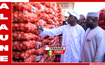 Marché de l'oignon au Sénégal: Le gouvernement lève le gel des importations pour stabiliser les prix