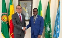 Addis-Abeba: L’Ambassadeur du Mali s'entretient avec son homologue slovaque sur la candidature à l'ONU et la sécurité au Sahel