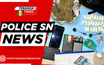Saisie de cocaïne et d'extasy : L'OCRTIS démantèle un réseau de trafic de drogue entre Rufisque, Mbao et Keur Massar