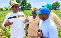 Souveraineté alimentaire et aléas climatiques: Le Ministre Cheikhou Oumar Ba au chevet des producteurs de Tambacounda face au déficit pluviométrique
