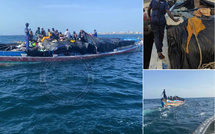 Dakar: la Gendarmerie saisit six tonnes de cuisses de poulet de contrebande