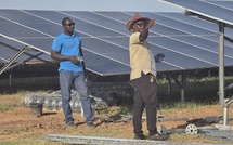 Matam: L'énergie solaire déployée sur le casier rizicole de Bow pour réduire les coûts d'irrigation et soutenir la production locale