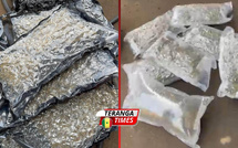 Lutte contre le trafic de drogue : Saisie de 10 kg de haschich d'une valeur de 120 millions FCFA au Port de Dakar