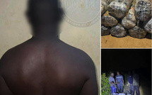 Lutte contre le trafic de stupéfiants : La gendarmerie saisit 360 kg de chanvre indien sur le littoral de Mbodiène