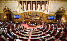 France : le Sénat adopte l’abrogation du Code noir, un vote à portée mémorielle