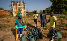 Casamance : le projet CHANGES mise sur l’agroécologie et la sécurité alimentaire